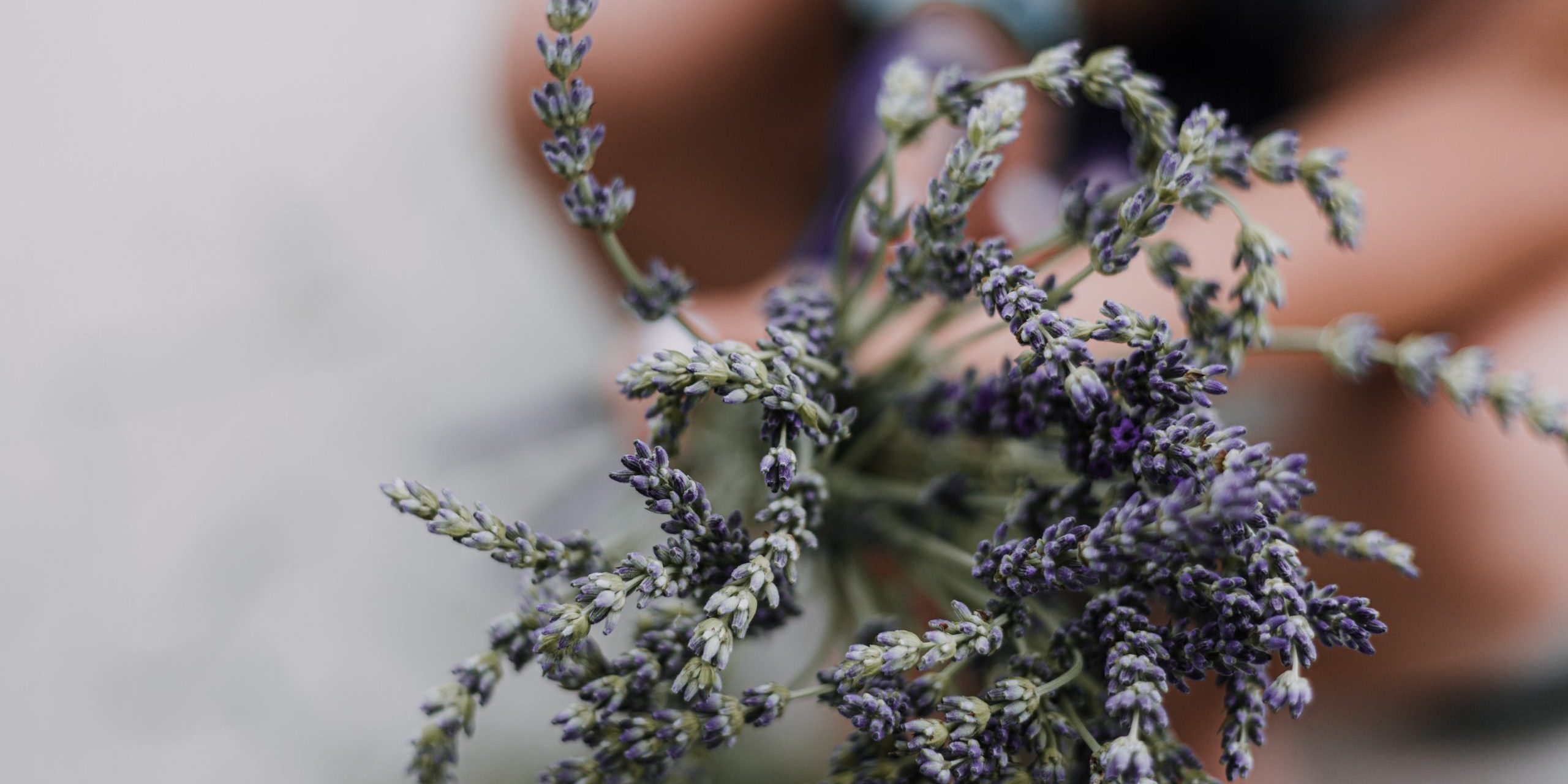 pexels-peter-fazekas-2508944